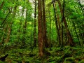 微山县未来3天天气预报更新数据，微山县的天气？