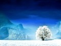 新北区未来3天天气预报更新数据，新北区实时天气预报