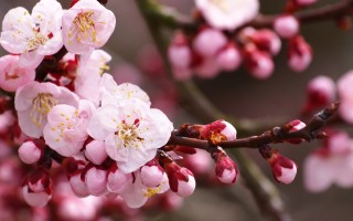 博湖县未来十五天天气预报更新数据，博湖未来3天天气