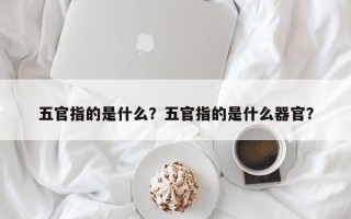 五官指的是什么？五官指的是什么器官？