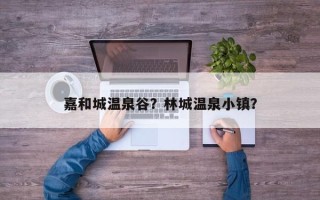 嘉和城温泉谷？林城温泉小镇？