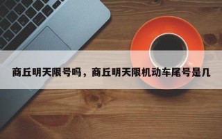 商丘明天限号吗，商丘明天限机动车尾号是几