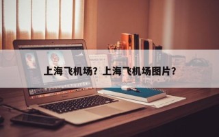 上海飞机场？上海飞机场图片？