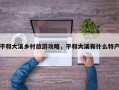 平和大溪乡村旅游攻略，平和大溪有什么特产