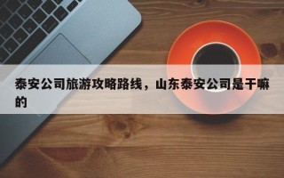 泰安公司旅游攻略路线，山东泰安公司是干嘛的