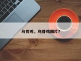 乌骨鸡，乌骨鸡图片？