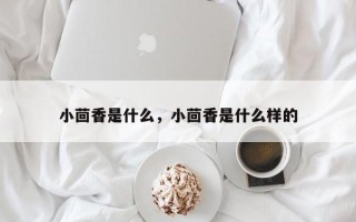 小茴香是什么，小茴香是什么样的