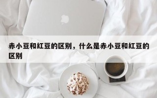 赤小豆和红豆的区别，什么是赤小豆和红豆的区别