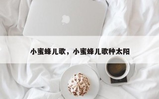 小蜜蜂儿歌，小蜜蜂儿歌种太阳