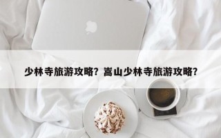 少林寺旅游攻略？嵩山少林寺旅游攻略？