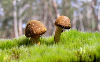 广汉市今天限号多少？广汉限行时间和范围？