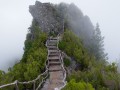 火腿，火腿保质期一般多久