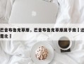 巴音布鲁克草原，巴音布鲁克草原属于南彊还是北彊