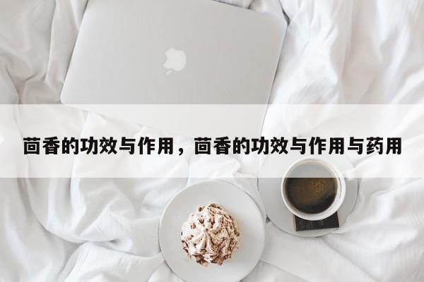 茴香的功效与作用，茴香的功效与作用与药用-第2张图片-890百科网