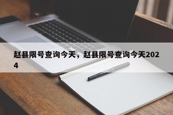 赵县限号查询今天，赵县限号查询今天2024-第2张图片-890百科网