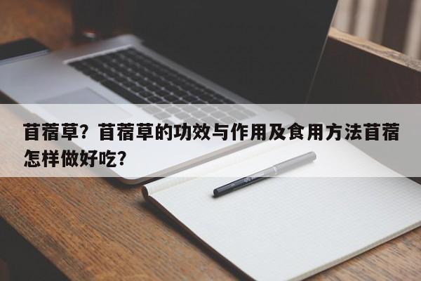 苜蓿草？苜蓿草的功效与作用及食用方法苜蓿怎样做好吃？-第2张图片-890百科网