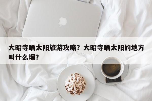 大昭寺晒太阳旅游攻略？大昭寺晒太阳的地方叫什么墙？-第2张图片-890百科网