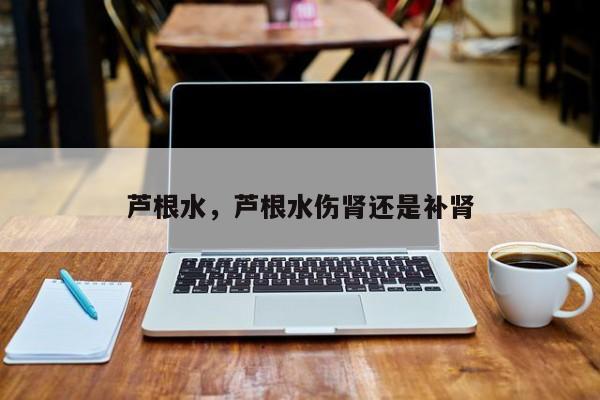 芦根水，芦根水伤肾还是补肾-第3张图片-890百科网