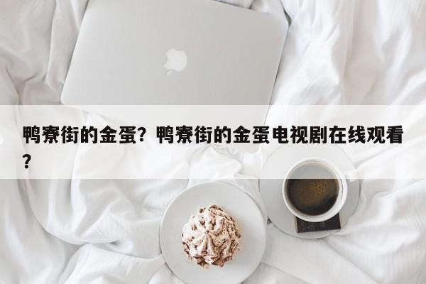 鸭寮街的金蛋？鸭寮街的金蛋电视剧在线观看？-第1张图片-890百科网