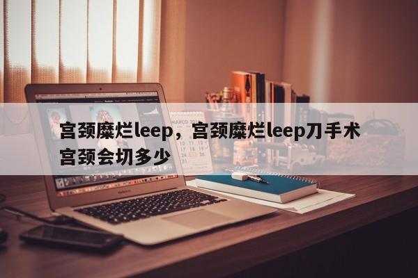 宫颈糜烂leep，宫颈糜烂leep刀手术宫颈会切多少-第2张图片-890百科网