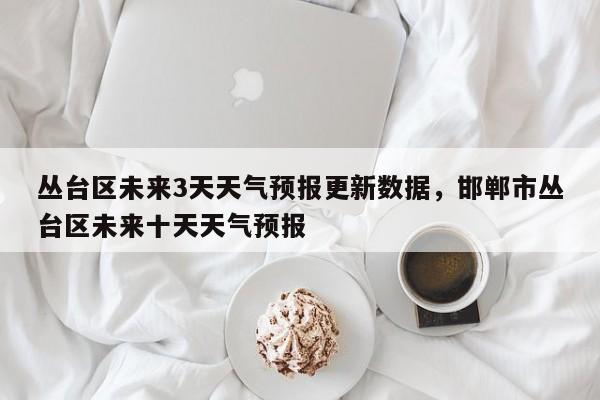 丛台区未来3天天气预报更新数据，邯郸市丛台区未来十天天气预报-第3张图片-890百科网