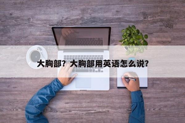 大胸部？大胸部用英语怎么说？-第1张图片-890百科网