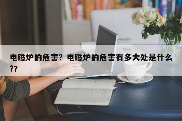 电磁炉的危害？电磁炉的危害有多大处是什么?？-第1张图片-890百科网