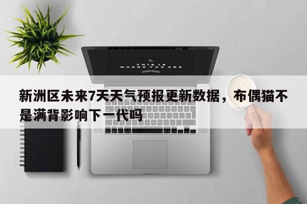 新洲区未来7天天气预报更新数据，布偶猫不是满背影响下一代吗-第1张图片-890百科网